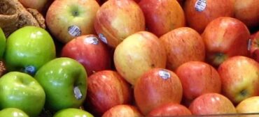 Ubezpieczenie w eksporcie – polisa dla polskich jabłek