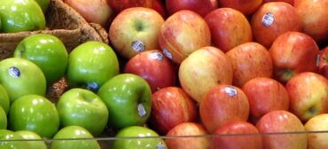 Ubezpieczenie w eksporcie – polisa dla polskich jabłek